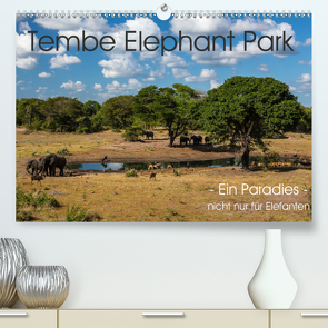 Tembe Elephant Park. Ein Paradies – nicht nur für Elefanten (Premium, hochwertiger DIN A2 Wandkalender 2020, Kunstdruck in Hochglanz) von rsiemer