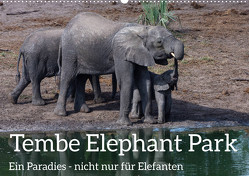 Tembe Elephant Park. Ein Paradies – nicht nur für Elefanten (Wandkalender 2024 DIN A2 quer), CALVENDO Monatskalender von rsiemer,  rsiemer