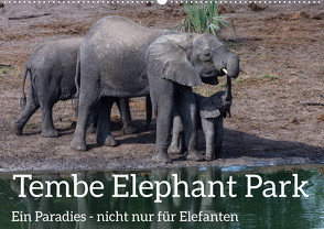 Tembe Elephant Park. Ein Paradies – nicht nur für Elefanten (Wandkalender 2024 DIN A2 quer), CALVENDO Monatskalender von rsiemer,  rsiemer