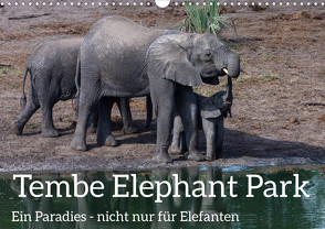 Tembe Elephant Park. Ein Paradies – nicht nur für Elefanten (Wandkalender 2024 DIN A3 quer) von rsiemer
