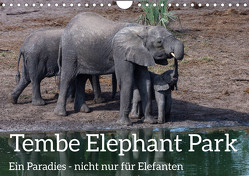 Tembe Elephant Park. Ein Paradies – nicht nur für Elefanten (Wandkalender 2024 DIN A4 quer), CALVENDO Monatskalender von rsiemer,  rsiemer