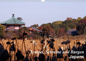 Tempel, Schreine und Burgen Japans (Wandkalender 2020 DIN A3 quer) von Irlenbusch,  Roland