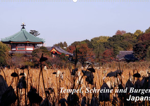 Tempel, Schreine und Burgen Japans (Wandkalender 2022 DIN A2 quer) von Irlenbusch,  Roland