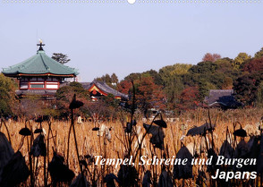 Tempel, Schreine und Burgen Japans (Wandkalender 2023 DIN A2 quer) von Irlenbusch,  Roland