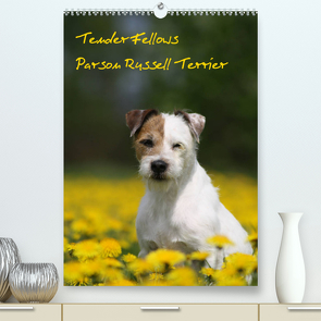 Tender Fellows – Parson Russell Terrier (Premium, hochwertiger DIN A2 Wandkalender 2023, Kunstdruck in Hochglanz) von Clüver,  Maike