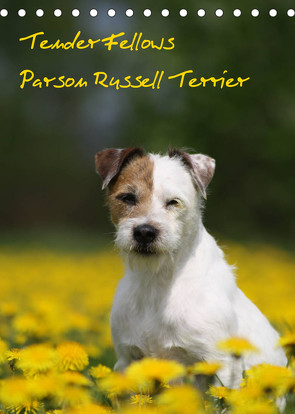Tender Fellows – Parson Russell Terrier (Tischkalender 2023 DIN A5 hoch) von Clüver,  Maike