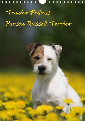 Tender Fellows – Parson Russell Terrier (Wandkalender 2019 DIN A4 hoch) von Clüver,  Maike