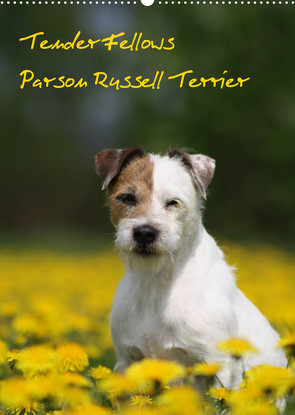 Tender Fellows – Parson Russell Terrier (Wandkalender 2023 DIN A2 hoch) von Clüver,  Maike
