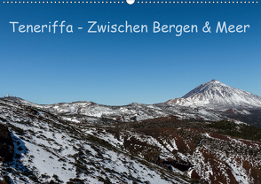 Teneriffa – Zwischen Bergen und Meer (Wandkalender 2020 DIN A2 quer) von Korényi,  Stefanie