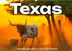 Texas – Howdy aus dem Lone Star State! (Wandkalender 2024 DIN A2 quer) von Scott,  M.