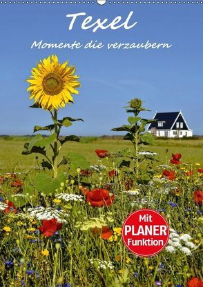 Texel – Momente die verzaubern (Wandkalender 2018 DIN A2 hoch) von Hackstein,  Bettina