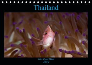 Thailand – Unter Wasser Makro (Tischkalender 2019 DIN A5 quer) von schmidt xway-image.de,  ralf