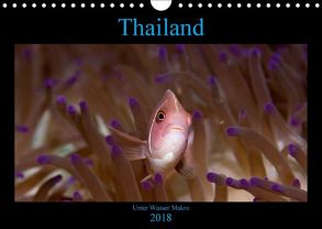 Thailand – Unter Wasser Makro (Wandkalender 2018 DIN A4 quer) von schmidt xway-image.de,  ralf