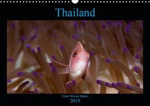 Thailand – Unter Wasser Makro (Wandkalender 2019 DIN A3 quer) von schmidt xway-image.de,  ralf