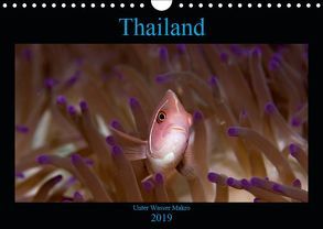 Thailand – Unter Wasser Makro (Wandkalender 2019 DIN A4 quer) von schmidt xway-image.de,  ralf