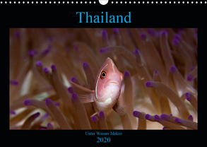Thailand – Unter Wasser Makro (Wandkalender 2020 DIN A3 quer) von schmidt xway-image.de,  ralf