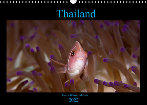 Thailand – Unter Wasser Makro (Wandkalender 2022 DIN A3 quer) von schmidt xway-image.de,  ralf