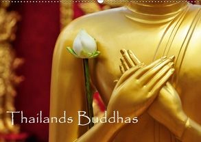 Thailands Buddhas (Wandkalender 2018 DIN A2 quer) von Ochsmann,  Sylvia