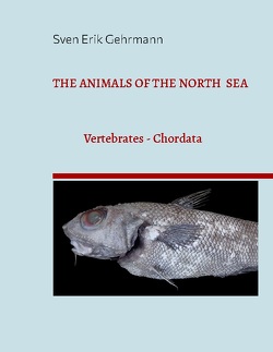 The Animals Of The North Sea von Gehrmann,  Sven Erik