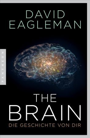 The Brain von Eagleman,  David, Neubauer,  Jürgen