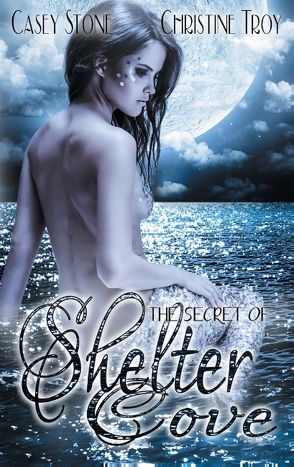 The Secret of Shelter Cove von Stone,  Casey, Troy,  Christine