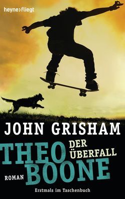 Theo Boone – Der Überfall von Grisham,  John, Walsh-Araya,  Imke