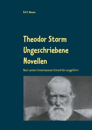 Theodor Storm Ungeschriebene Novellen von Hansen,  Erk F.