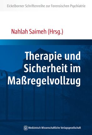 Therapie und Sicherheit im Maßregelvollzug von Saimeh,  Nahlah