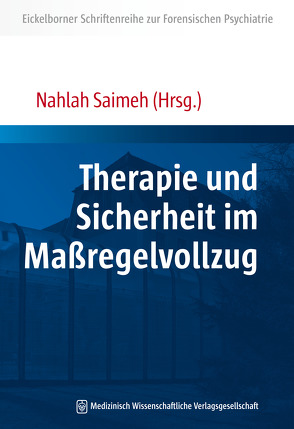 Therapie und Sicherheit im Maßregelvollzug von Saimeh,  Nahlah