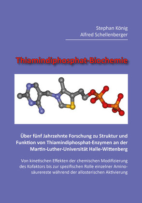 Thiamindiphosphat-Biochemie von König,  Stephan, Schellenberger,  Alfred