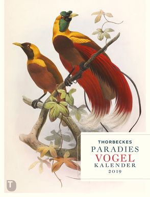 Thorbeckes Paradiesvogel Kalender 2019 von Hauschild,  Stephanie