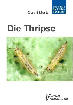 Thripse – Fransenflügler, Thysanoptera von Moritz,  Gerald