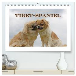 Tibet-Spaniel (hochwertiger Premium Wandkalender 2024 DIN A2 quer), Kunstdruck in Hochglanz von Lindert-Rottke,  Antje