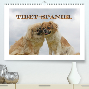 Tibet-Spaniel (Premium, hochwertiger DIN A2 Wandkalender 2021, Kunstdruck in Hochglanz) von Lindert-Rottke,  Antje