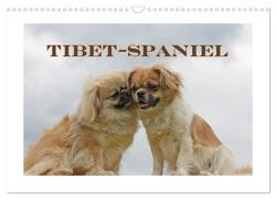 Tibet-Spaniel (Wandkalender 2024 DIN A3 quer), CALVENDO Monatskalender von Lindert-Rottke,  Antje