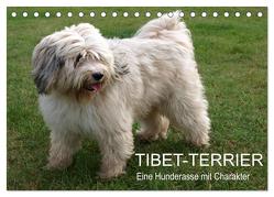 Tibet-Terrier – Eine Hunderasse mit Charakter (Tischkalender 2024 DIN A5 quer), CALVENDO Monatskalender von Bindig,  Rudolf