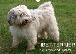 Tibet-Terrier – Eine Hunderasse mit Charakter (Wandkalender 2020 DIN A3 quer) von Bindig,  Rudolf