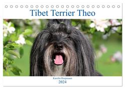 Tibet Terrier Theo (Tischkalender 2024 DIN A5 quer), CALVENDO Monatskalender von Heepmann,  Karolin