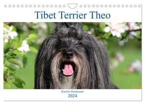 Tibet Terrier Theo (Wandkalender 2024 DIN A4 quer), CALVENDO Monatskalender von Heepmann,  Karolin