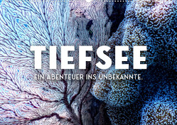 Tiefsee – Ein Abenteuer ins Unbekannte. (Wandkalender 2023 DIN A2 quer) von SF