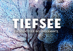 Tiefsee – Ein Abenteuer ins Unbekannte. (Wandkalender 2023 DIN A3 quer) von SF