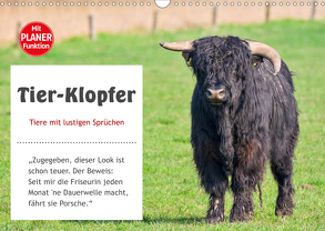 Tier-Klopfer (Wandkalender 2020 DIN A3 quer) von Kulartz,  Rainer, Plett,  Lisa