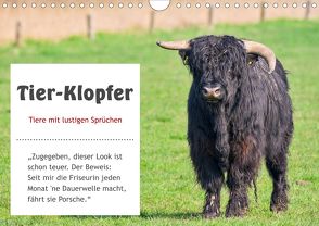 Tier-Klopfer (Wandkalender 2020 DIN A4 quer) von Kulartz,  Rainer, Plett,  Lisa