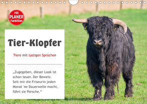 Tier-Klopfer (Wandkalender 2021 DIN A4 quer) von Kulartz,  Rainer, Plett,  Lisa