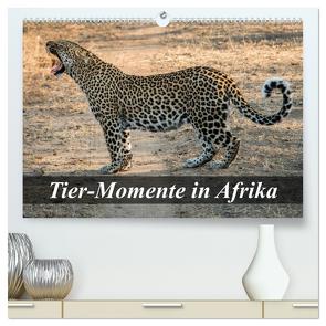 Tier-Momente in Afrika (hochwertiger Premium Wandkalender 2024 DIN A2 quer), Kunstdruck in Hochglanz von Janssen,  Dirk
