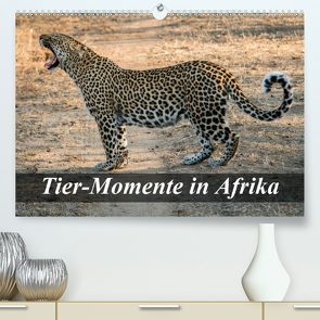 Tier-Momente in Afrika (Premium, hochwertiger DIN A2 Wandkalender 2021, Kunstdruck in Hochglanz) von Janssen,  Dirk