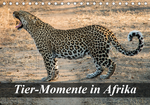 Tier-Momente in Afrika (Tischkalender 2021 DIN A5 quer) von Janssen,  Dirk