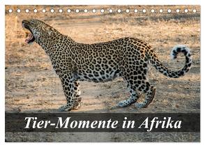 Tier-Momente in Afrika (Tischkalender 2024 DIN A5 quer), CALVENDO Monatskalender von Janssen,  Dirk