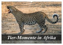 Tier-Momente in Afrika (Wandkalender 2024 DIN A2 quer), CALVENDO Monatskalender von Janssen,  Dirk