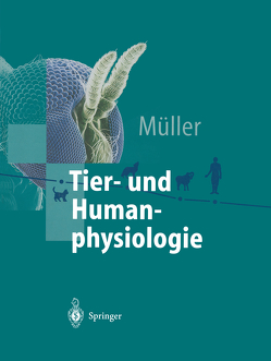 Tier- und Humanphysiologie von Müller,  Werner A.
